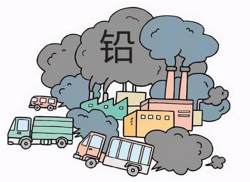 高速沿線綠化與土壤環(huán)境防護(hù) 為何禁種莊稼，重在防治什么？