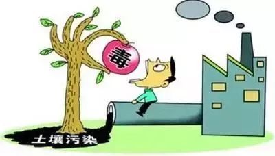 守護(hù)大地根基 土壤污染知多少及其防治服務(wù)